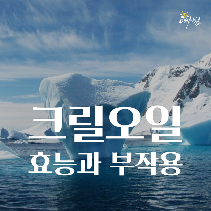 [매일아침좋은글] 다이어트에 좋은 크릴오일 효능과 부작용 알고 먹자