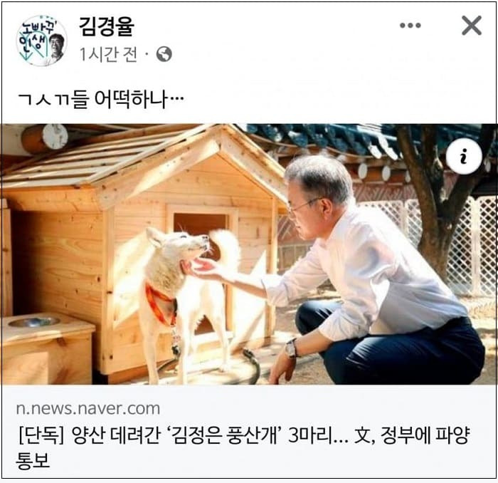 개 안키우겠다는데 왜 이리 난리지?