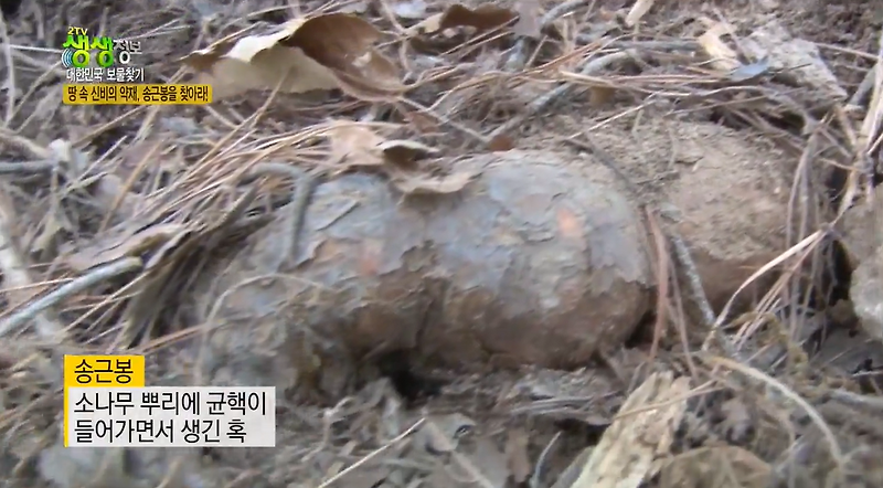 생방송투데이 주피디 송근봉 파는곳 3월 27일 방송