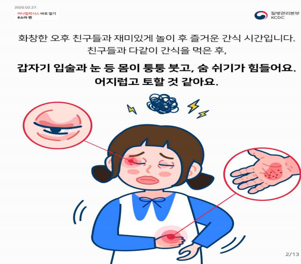 음식알레르기 약물알레르기 아나필락시스 증상 치료방법