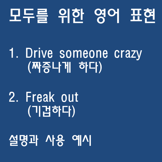 drive someone crazy (짜증나게 하다),freak out (기겁하다) 뜻과 사용