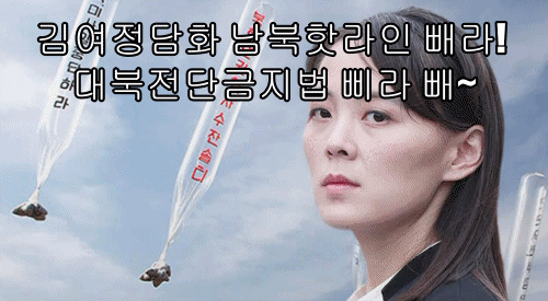 김여정담화 남북핫라인 빼라! 대북전단금지법 삐라 빼~