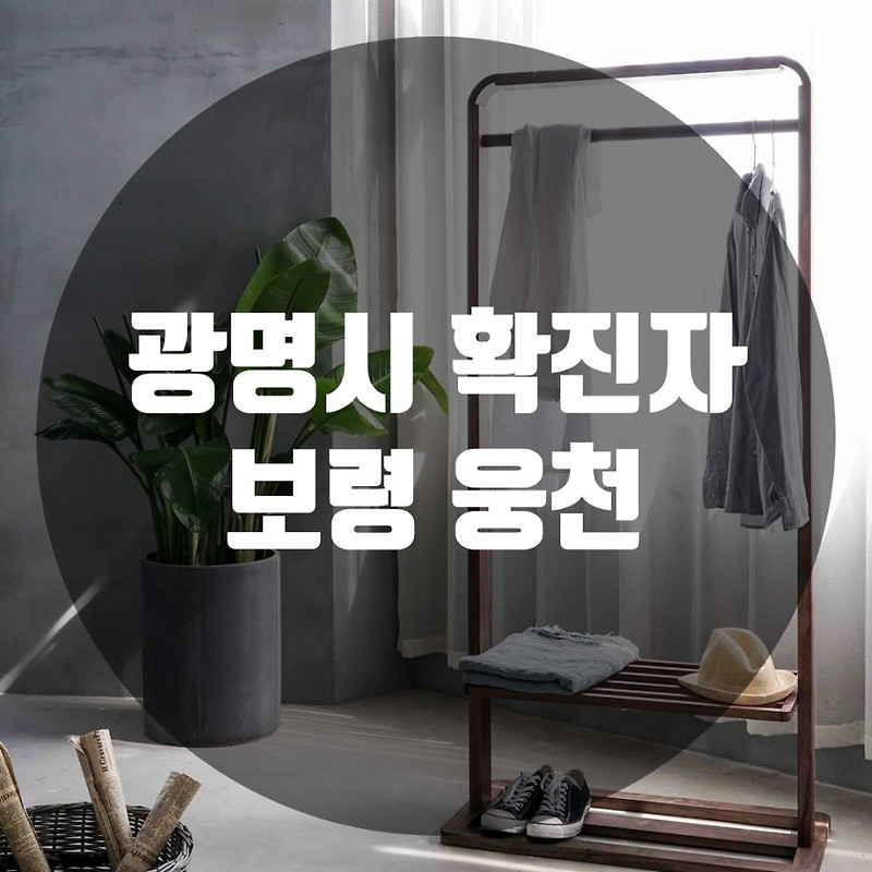 광명 코로나 확진자 동선, 보령 웅천 방문