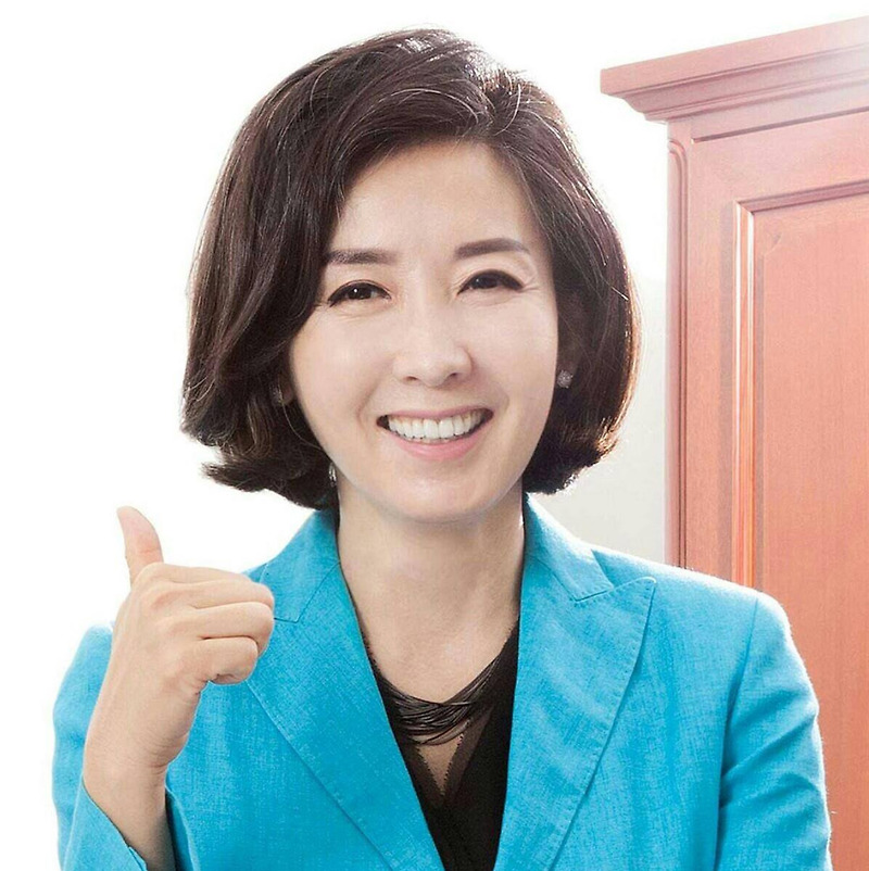 나경원 북미 정상회담 입장문 결국 ..