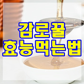 감로꿀 효능, 먹는법 알고 먹자