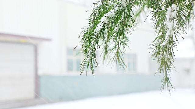 [하나님의 약속]우리는 주님의 보혈이 이미 우리를 깨끗게 했다고 생각합니다.