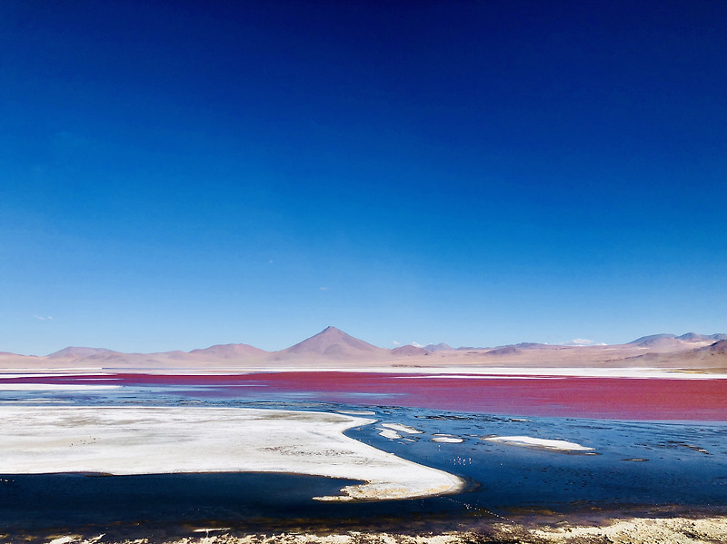 [남미여행기 - 볼리비아 9일차] 우유니 2박3일 투어 2일차 (2편) : 붉은 호수, 온다 호수, 실로리 사막, 돌 나무