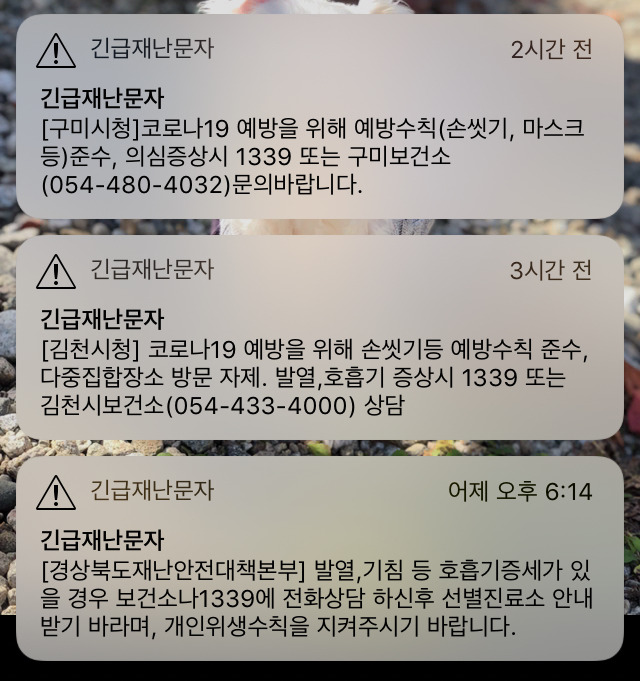 구미 코로나19 팩트체크 및 행동수칙, 경북 음압격리병상