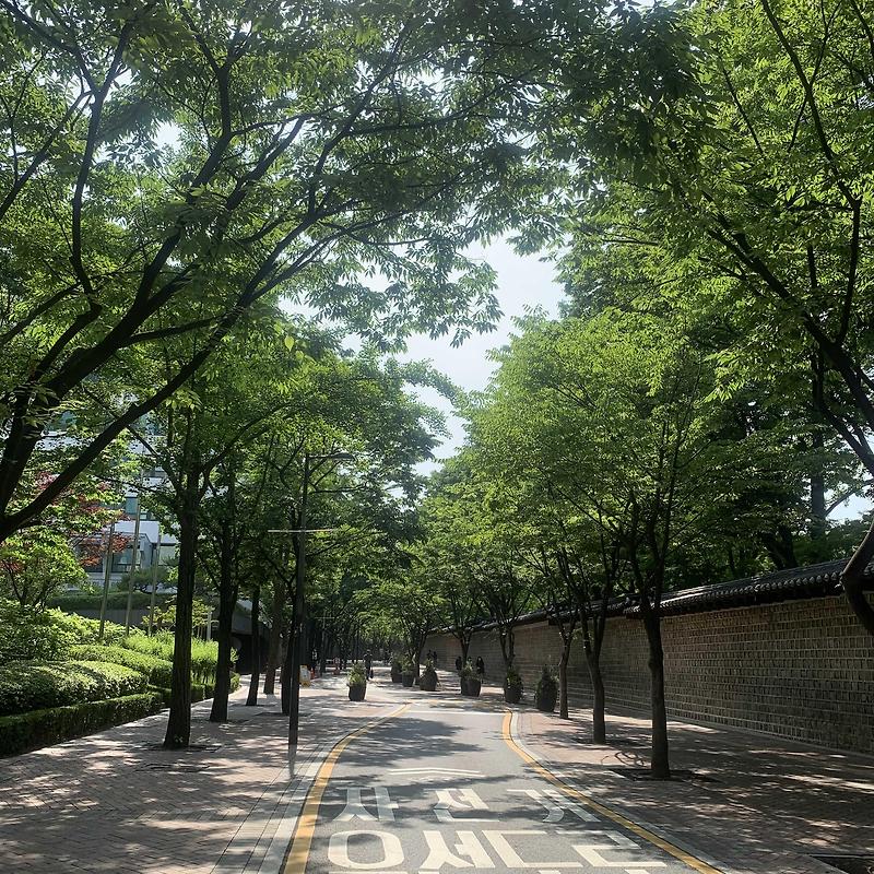 덕수궁 돌담길 / 서울시립미술관 '서울한달살이 +7'