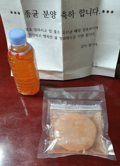 다이어트 음료 : 보이차 콤부차 만들기[효능과 부작용]