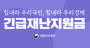 지역별 긴급재난지원금 전화 문의 (가구원 산정 기준) 보건복지부 콜센터 129(신청 및 지급 방법) 행정안전부 콜센터 02-2100-3399, 국민콜 110(조회 시스템 장애) 070-7825-4467, 0159
