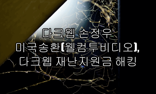 다크웹 손정우 미국송환(웰컴투비디오), 다크웹 재난지원금 해킹