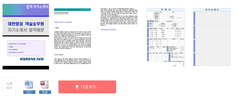대한항공 승무원 자기소개서 합격샘플 + 이력서양식 (대한항공 채용 자소서, 대한항공 스튜어디스 자기소개서 지원동기)