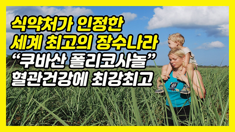 쿠바산 폴리코사놀, 식약처가 인증한 혈압, 콜레스테롤에 최고! 왜 쿠바산폴리코사놀이 좋은가? ㅣ건강정보 TV (세계최고 장수의나라, 폴리코사놀 효능, 폴리코사놀 부작용)