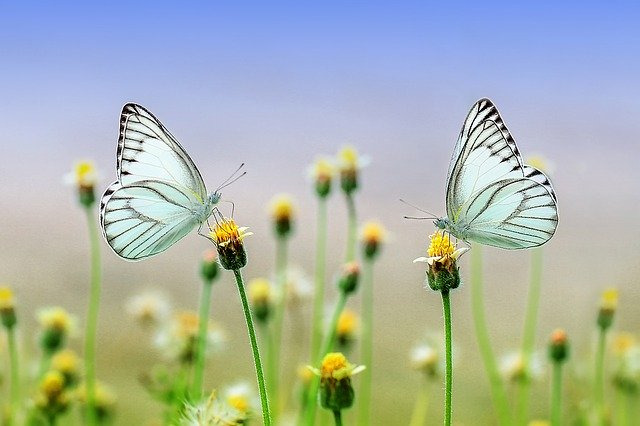 13. & 세렌디피티