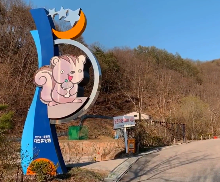 춘천숲 자연휴양림 캠핑장 다녀왔습니다 (feat.휴계소 더덕비빔밥)