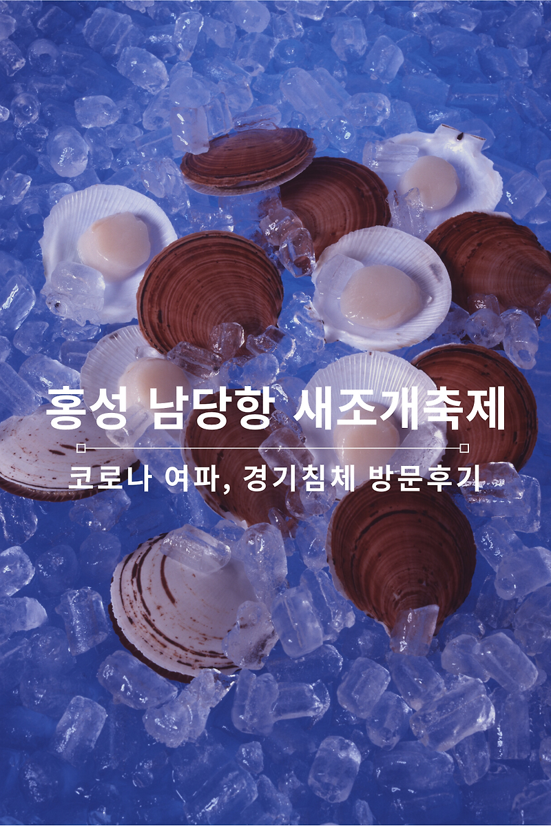 홍성 남당항 새조개축제 코로나여파(?) 다녀온 후기