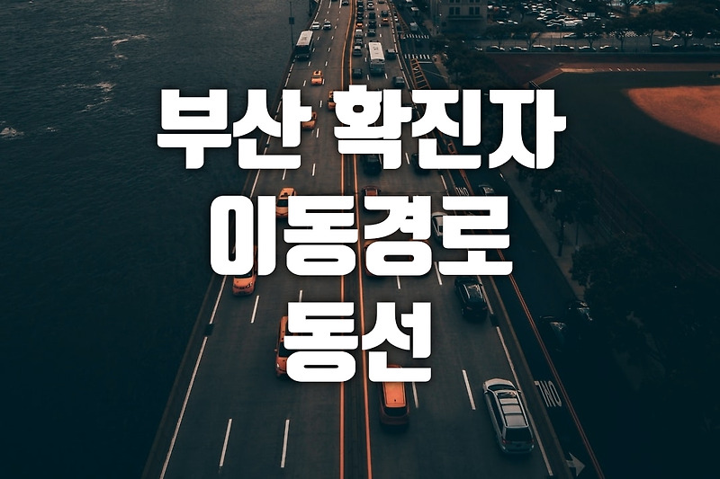부산 확진자 이동경로, 부산 코로나 확진자 동선