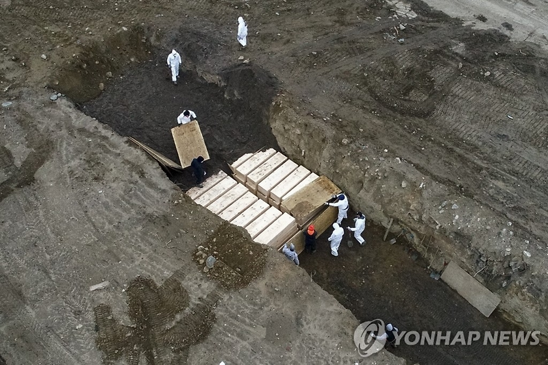 미국 코로나 19