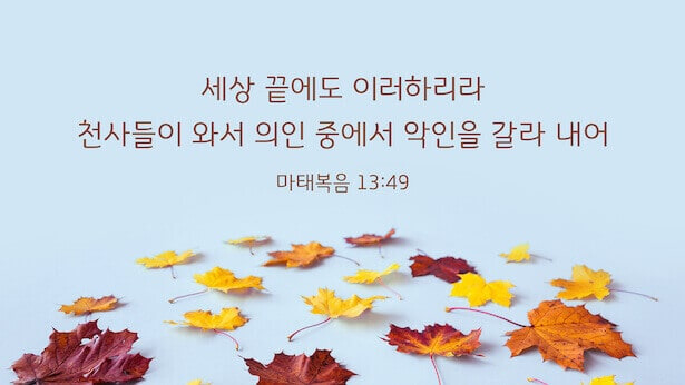 매일 성경 _ 마태복음 13:49