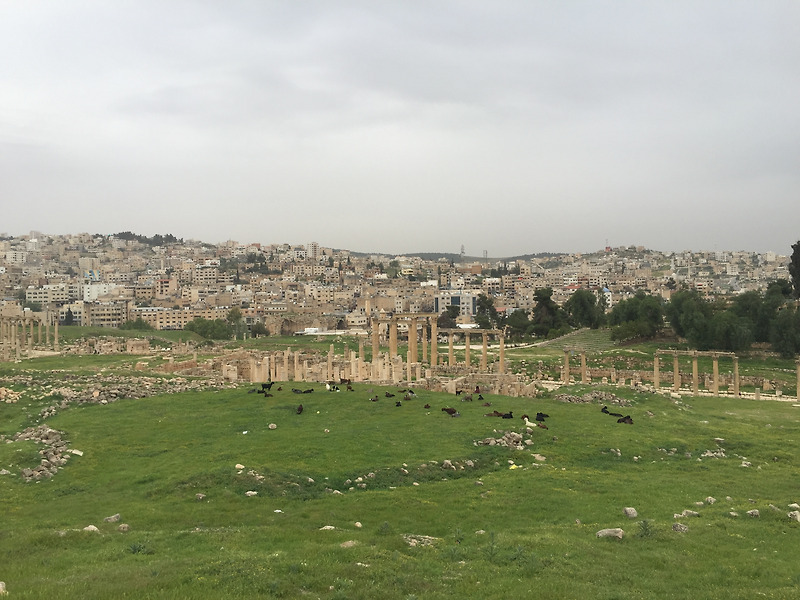 요르단 여행기 5일차(1편) - 모세의 느보산, 요르단의 로마 제라쉬