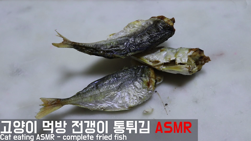 고양이 자연식 #20 - 전갱이 통튀김(고양이 생선 뼈, 생선가시 먹어도 되나요?)