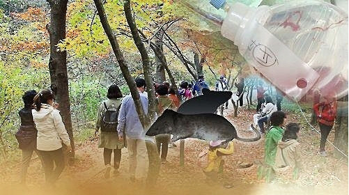 중국 흑사병