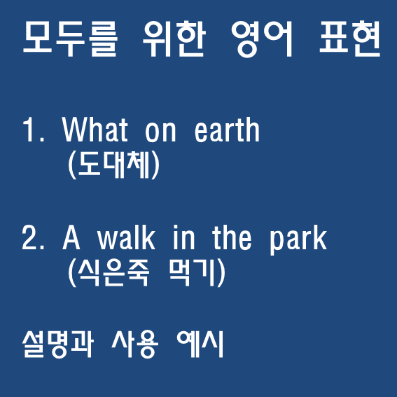 what on earth (도대체), a walk in the park (식은죽 먹기) 뜻과 사용