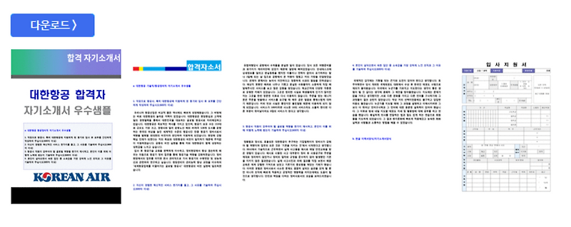 대한항공 자기소개서 항목/신입 연봉정보 [대한항공 채용 자소서항목/초봉 취업자료]