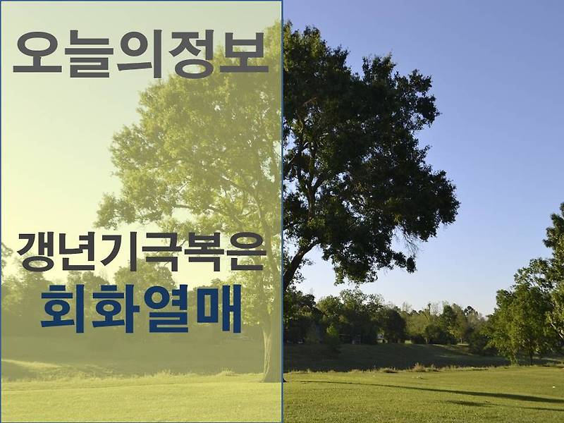 회화열매로 중년여성 갱년기 극복과 다이어트 까지 - 오늘의정보!
