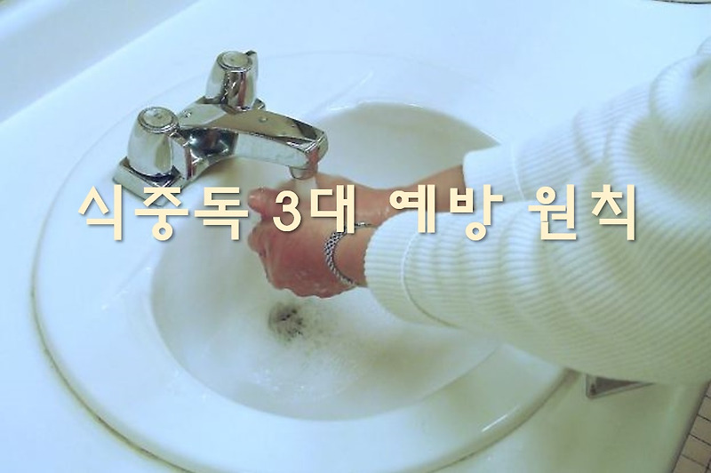 식중독 예방 3대 원칙과 응급 처치 방법