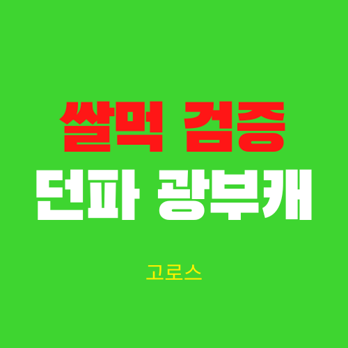쌀먹이 검증한 던파 광부캐릭 추천