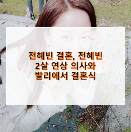 전혜빈 결혼, 전혜빈 2살 연상 의사와 발리에서 결혼식