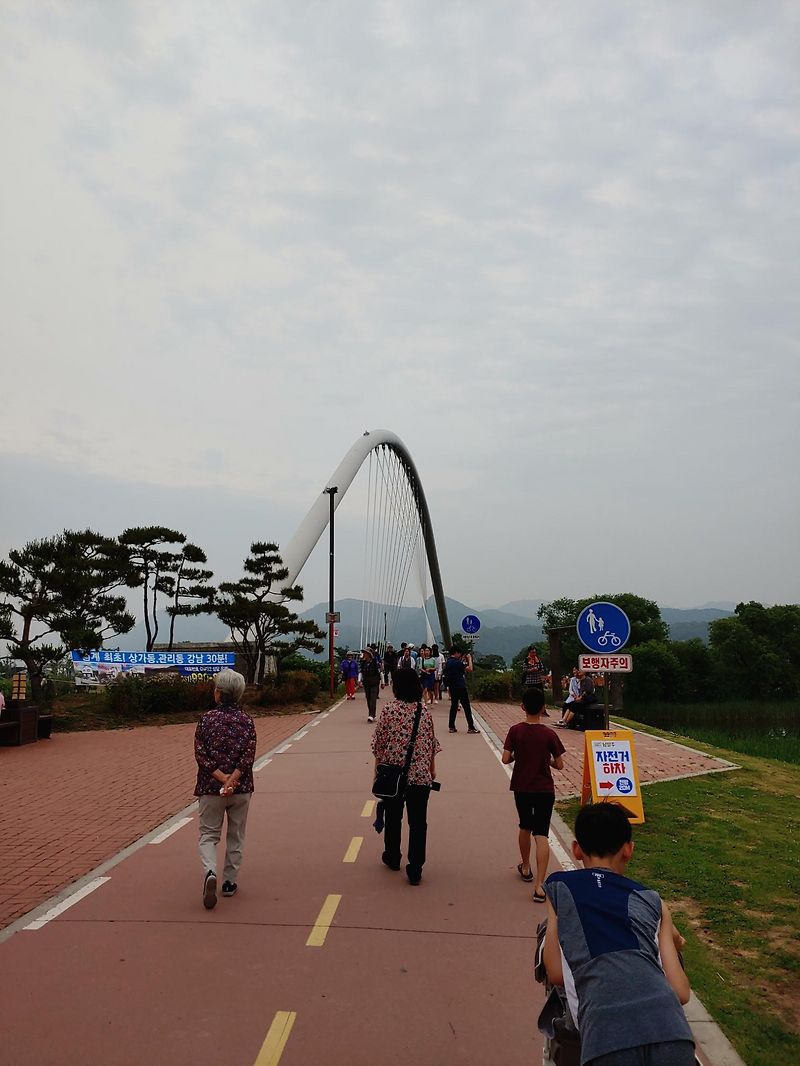 남양주 물의정원 양귀비꽃