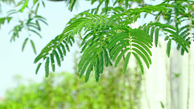 [성경 공부]천국에 관한 주제별 성경구절 — 성경에 기록된 천국의 비밀