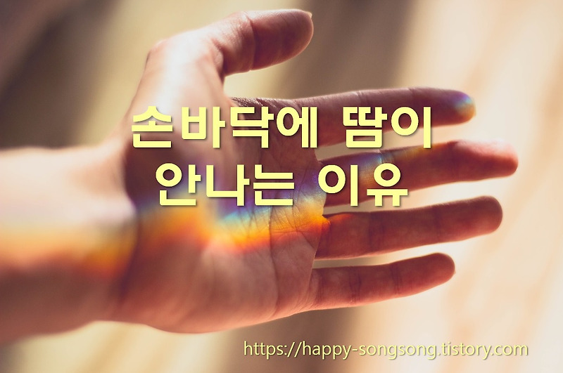 손바닥에 땀이 많이 나는 이유와 손바닥에 땀이 안나는 이유
