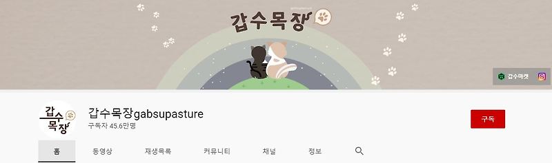 갑수목장 동물학대 의혹