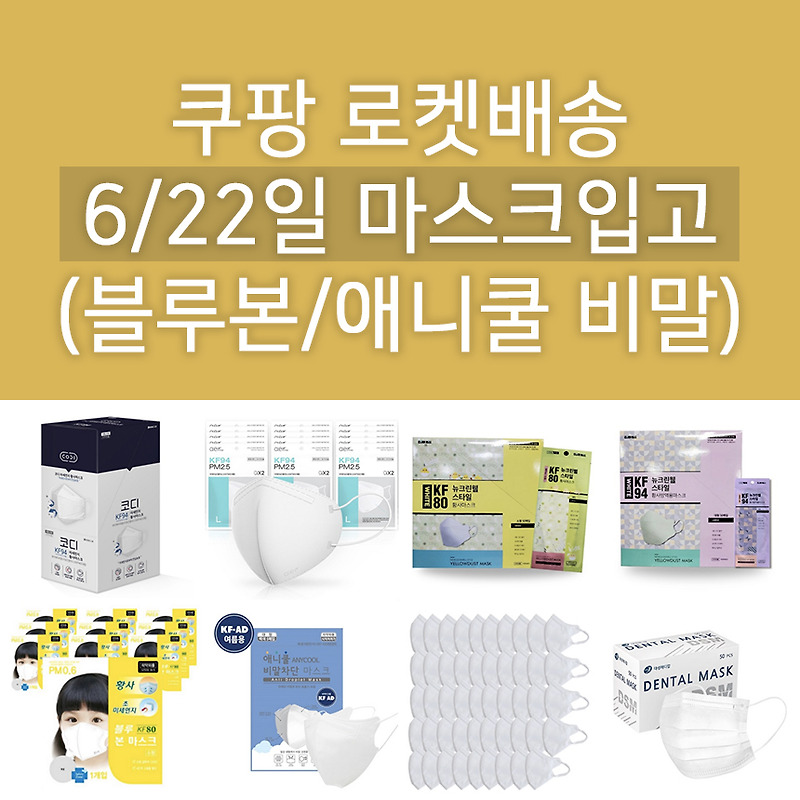 6월 22일 쿠팡 마스크 입고제품 정보 : 휴안청 애니쿨 비말차단용 KF-AD 마스크/코디/뉴크린웰 KF80 소형 대형/아이리스/아에르/블루본 KF80 등