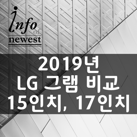 LG 그램 15인치, 17인치 2019 비교하기