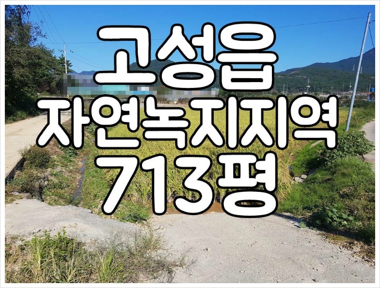 경남고성부동산 고성읍 자연녹지 14번국도변 인근 토지매매 ㅡ 713평