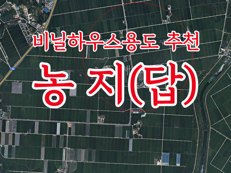 경남고성부동산/새고성부동산 : (비닐하우스용추천) 고성읍 죽계리 농지 916평 매매~~