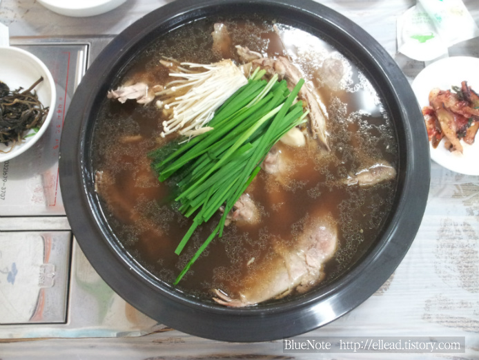 <강원도 정선 맛집> 고한 산골닭집 : 닭도리탕과 황기백숙