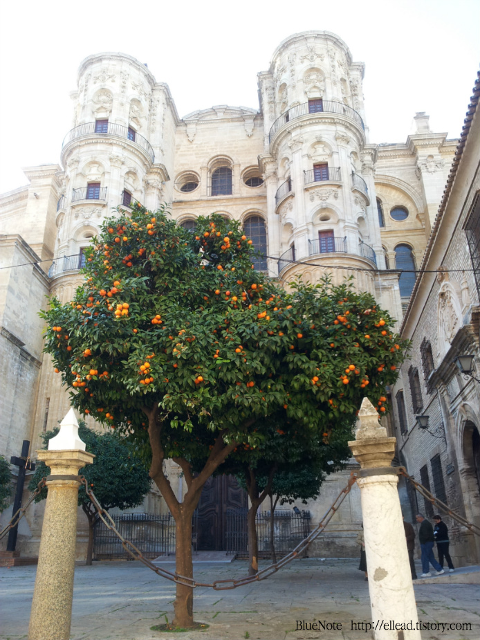 <스페인 가볼만한 곳> 말라가 대성당 (Cathedral de Malaga)