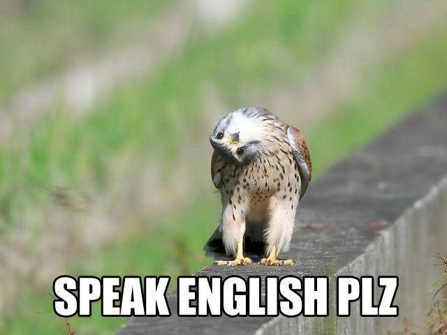 영어회화를 잘하기 위해서 외국인과 영어로 직접 의사소통?