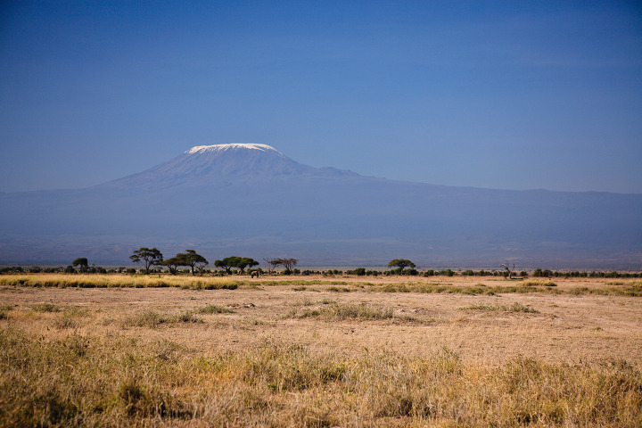 암보셀리 케냐 여행기 - 외로움이 아름다움으로 승화하는 아프리카