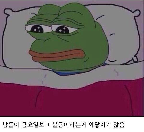 금요일 저녁 찐따들 특징