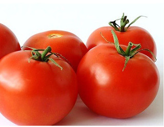 토마토 효능 및 칼로리