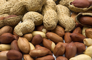땅콩 Peanut