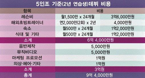 국내 평균 아이돌 데뷔 비용