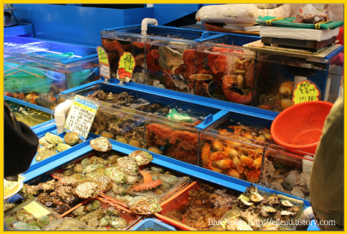 <제주도 가볼만한 곳> 제주 동문시장 : 싱싱한 해산물을 싸게 구입할 수 있는 곳